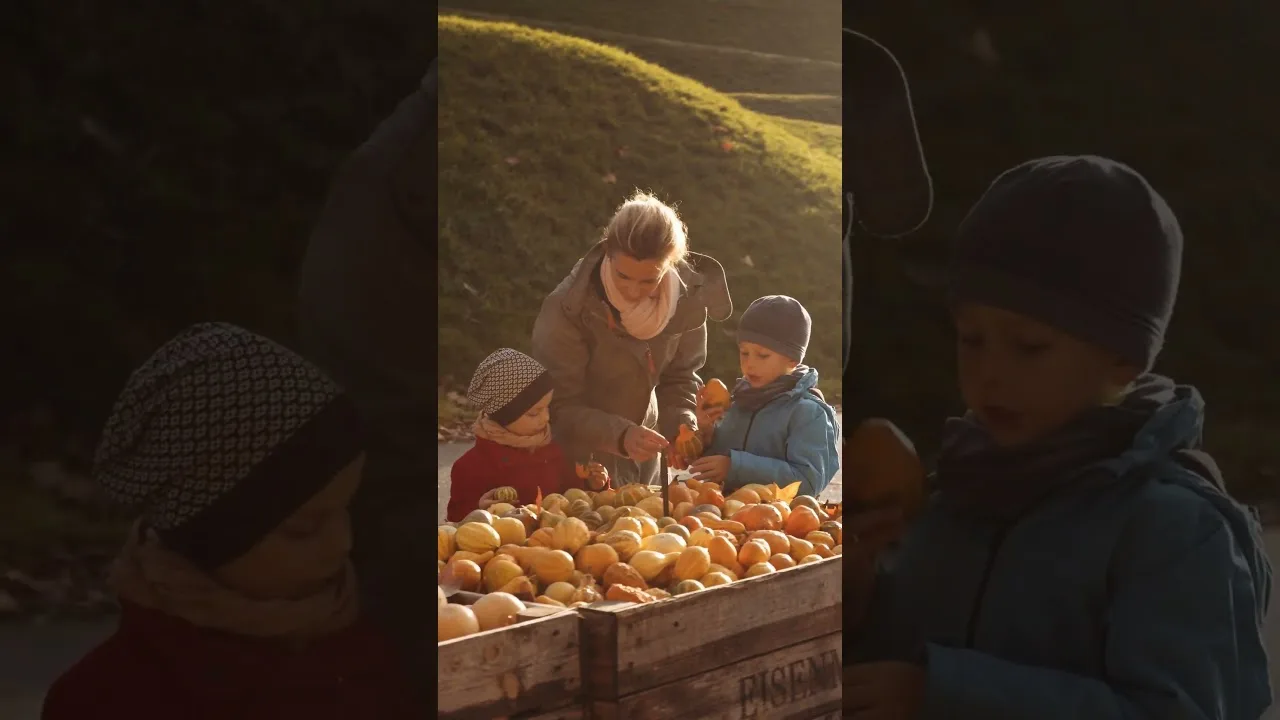 Tourismusvideo Herbst in Ludwigsburg [9:16 Version] | Visit Ludwigsburg | Goldamsel Film