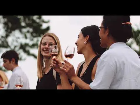 Tourismusvideo | Stuttgart Weintour | Goldamsel Film