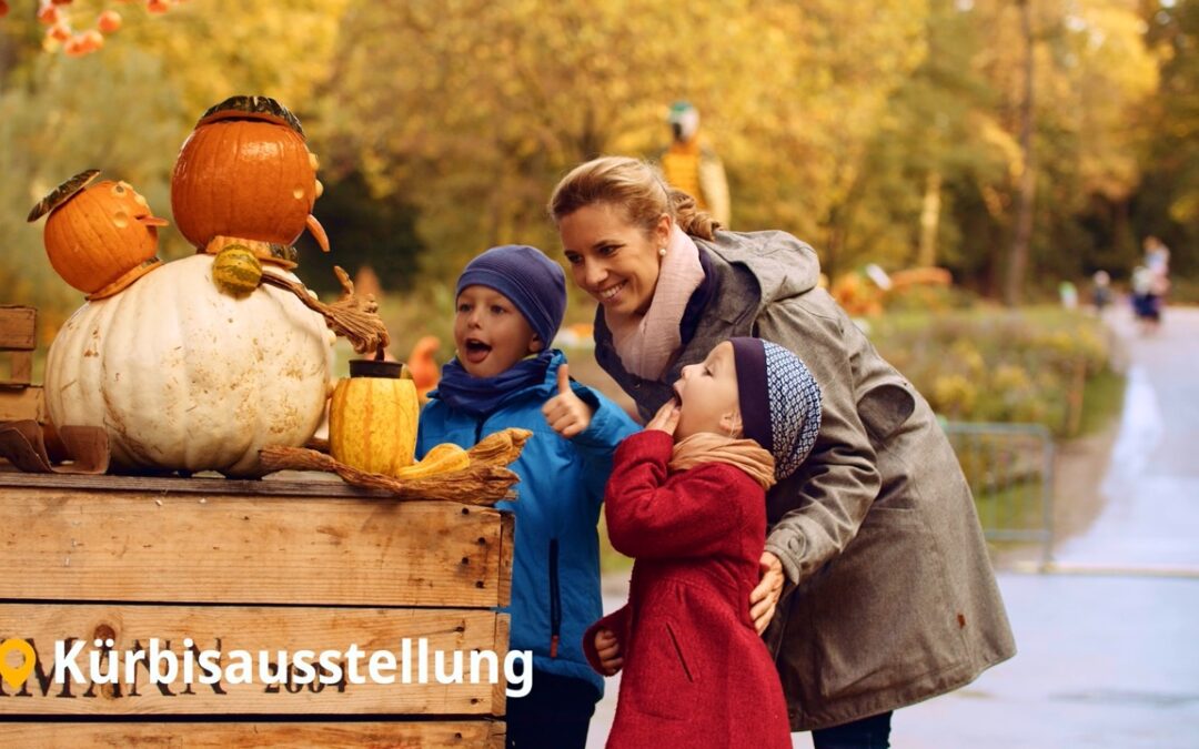 Tourismusvideo Herbst in Ludwigsburg | Visit Ludwigsburg